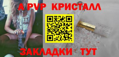 apvp Кингисепп