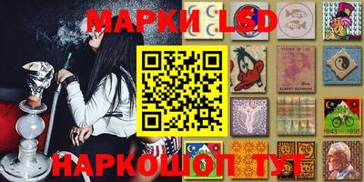 амф Кимры