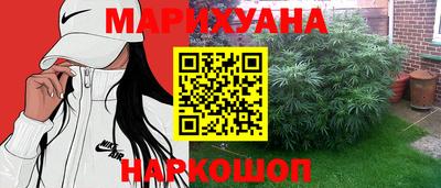 apvp Кингисепп