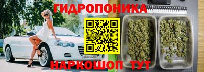 амф Кимры