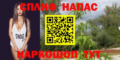 спайс Кинель