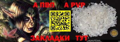 apvp Кингисепп