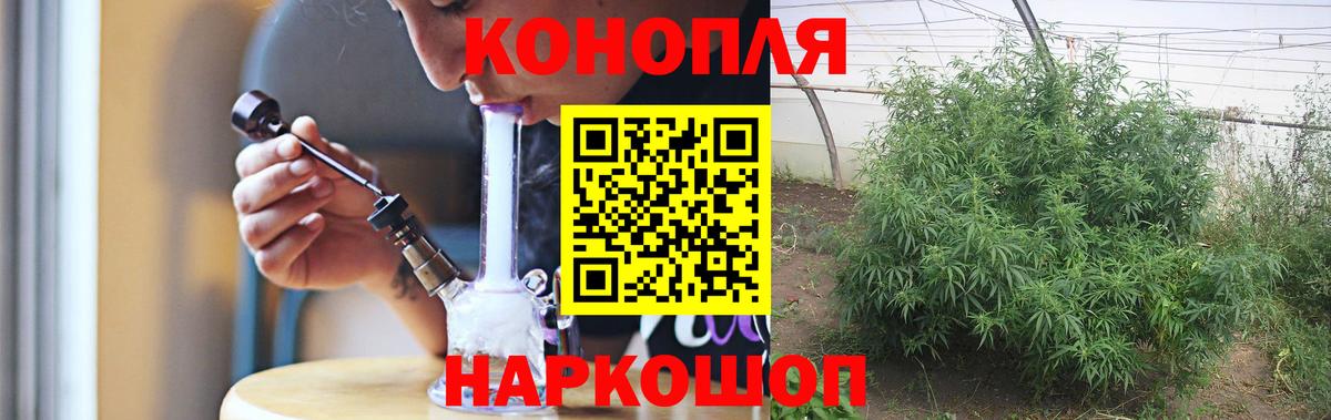 Бошки марихуана Amnesia Тара