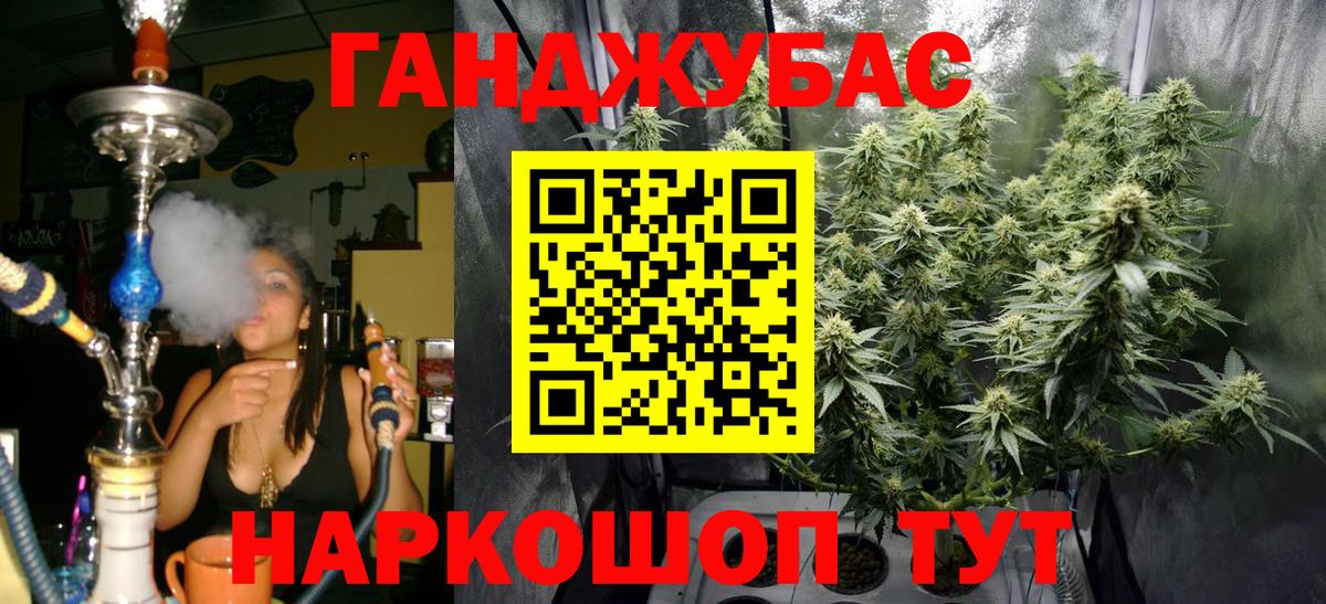 Тара  Бошки Шишки сатива  Вход с VPN  Бошки Шишки план 